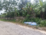 Chính chủ cho thuê đất 5.272m² (có 400m² thổ cư) tại xã Như Xuân, hỗ trợ cải tạo.