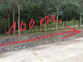 CHÍNH CHỦ CÓ 2 LÔ ĐẤT CẦN CHO THUÊ TẠI ĐƯỜNG TẠO LỰC, TÂN HIỆP, TÂN UYÊN, , PHÚ GIÁO, BẦU BÀNG