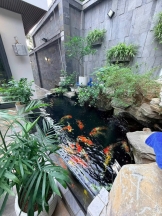 CHO THUÊ BIỆT THỰ CAO CẤP – BỂ BƠI TRONG NHÀ – THANG MÁY – FULL SMART HOME TẠI AN TRỰC, HẢI PHÒNG.