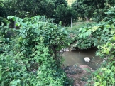 Cho thuê đất tại Yên Thuỷ, Hoà Bình-2000m2-5tr/thg