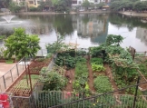 CHO THUÊ NHÀ MẶT HỒ BẢY GIAN - PHỐ ĐỘI CẤN - PHƯỜNG NGỌC HÀ - BA ĐÌNH - HÀ NỘI.