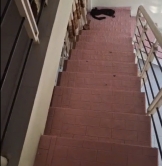 ► Cho thuê nhà MT Phó Đức Chính - Chính Hữu Nối Dài, 7 triệu, 150m2, C4, 2pn 2WC