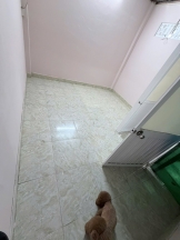 Cho thuê nhà nguyên căn Nguyễn Văn Nghi Gò Vấp 50m² 1T 1L 7.5tr/th