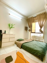 studio lau 1  full nt  29m2  bancol lon  free xe  cho nuoi pet  137  tran dinh xu  56 tr th